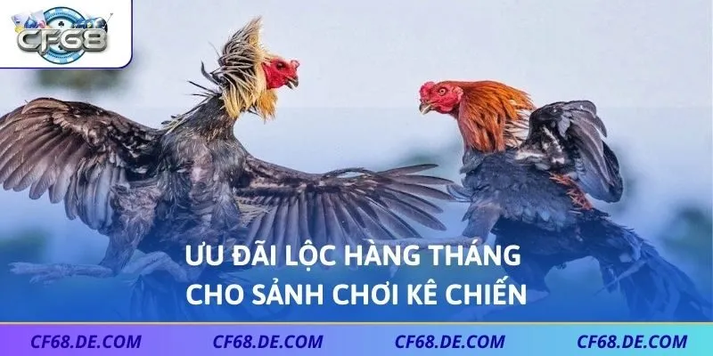 Ưu đãi lộc hàng tháng cho sảnh chơi kê chiến